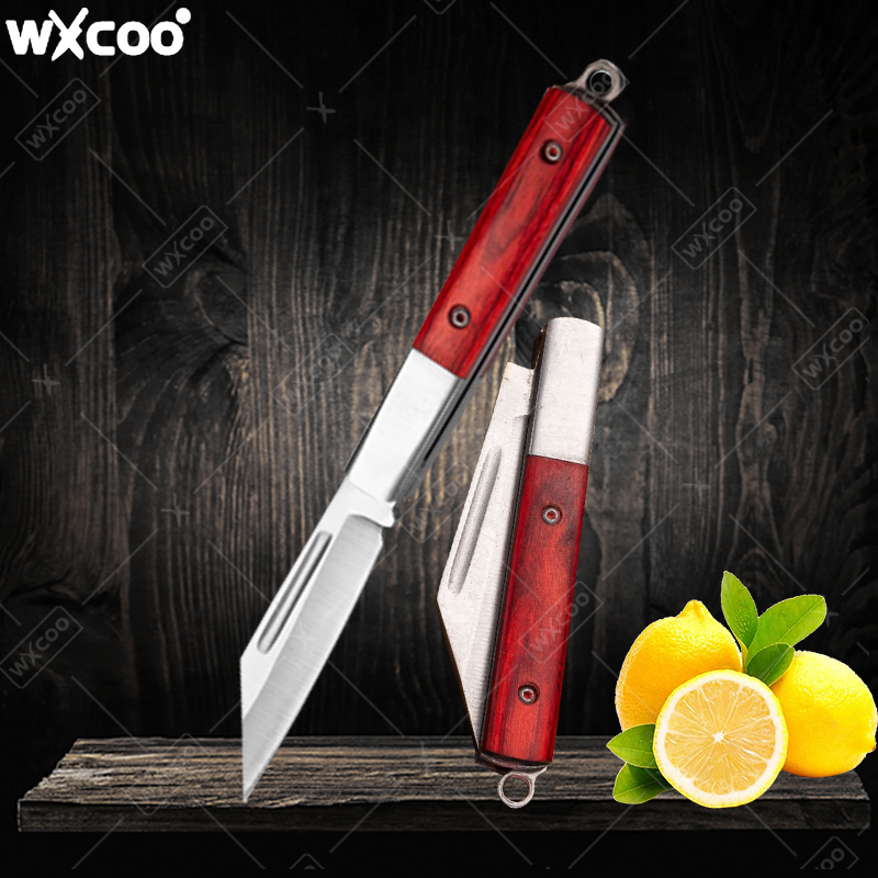 Kitchen Gadgets Latest - Coltello tascabile in acciaio inossidabile Manico
