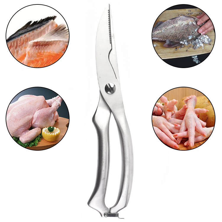 Forbici per ossa di pollo da c - Kitchen Gadgets And Appliances recensione e prezzo