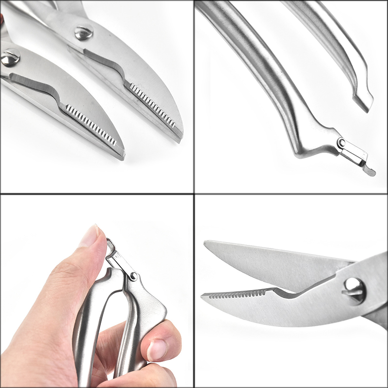 Forbici per ossa di pollo da c - Kitchen Gadgets And Appliances recensione e prezzo