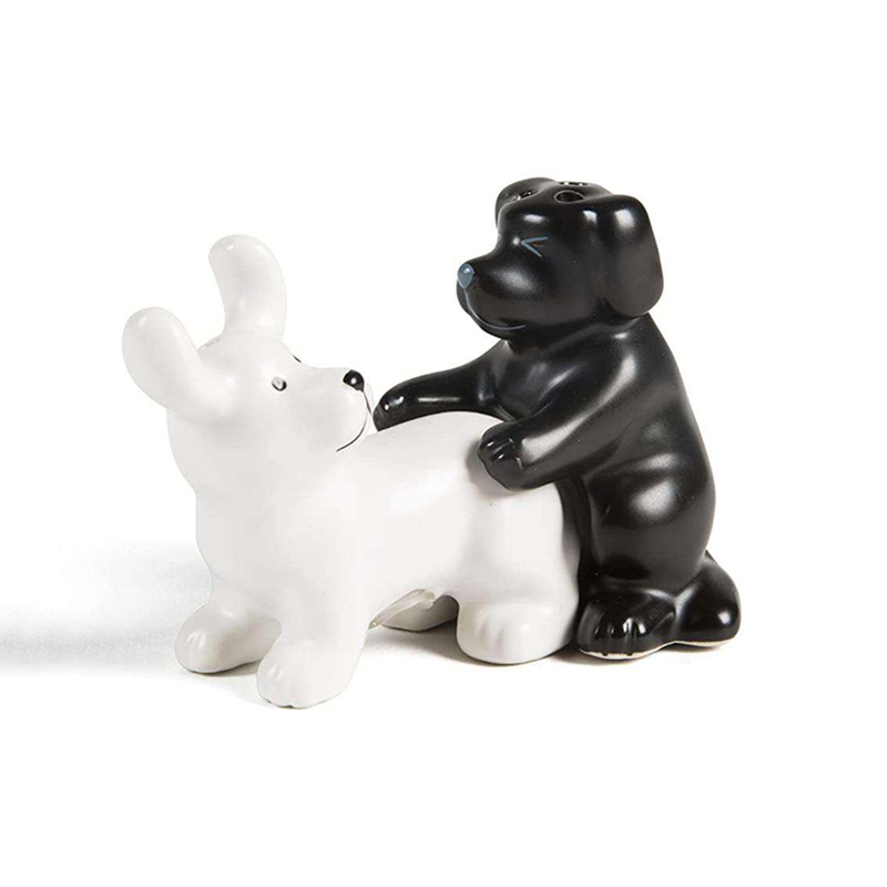 Set Sale e Pepe in Ceramica Bi - Kitchen Gadgets Novelty recensione e prezzo