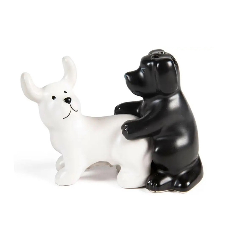 Set Sale e Pepe in Ceramica Bi - Kitchen Gadgets Novelty recensione e prezzo