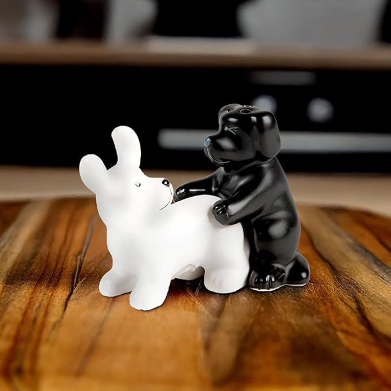 Set Sale e Pepe in Ceramica Bi - Kitchen Gadgets Novelty recensione e prezzo