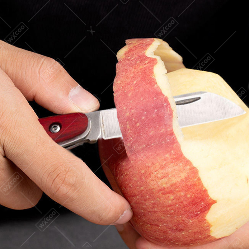Coltello tascabile in acciaio  - Kitchen Gadgets Latest recensione e prezzo
