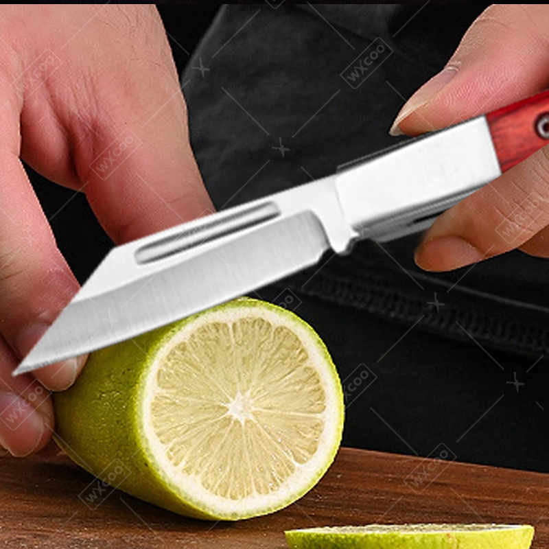 Coltello tascabile in acciaio  - Kitchen Gadgets Latest recensione e prezzo